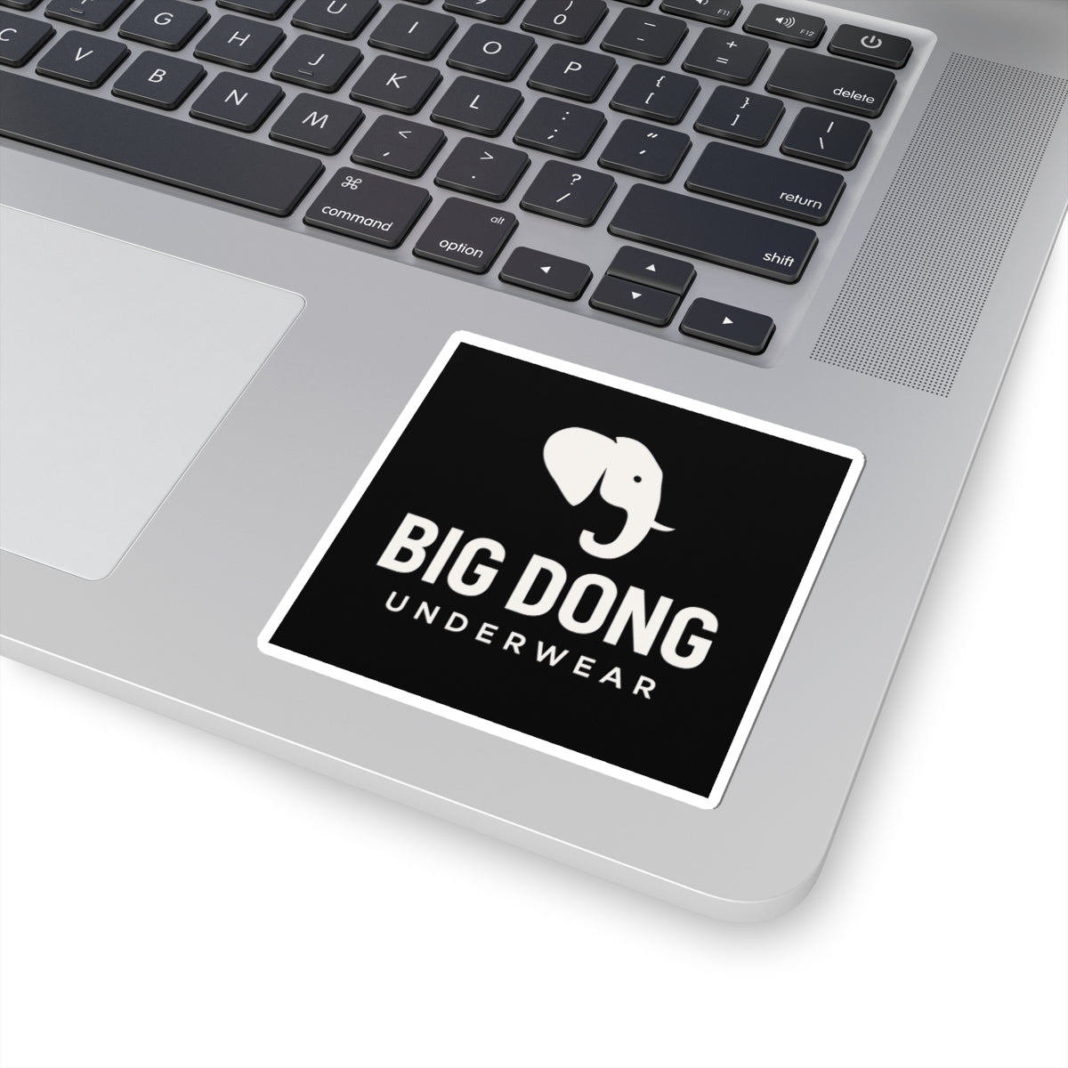 Big Dong Underwear logo Sticker | Kiss-Cut vinyl decal